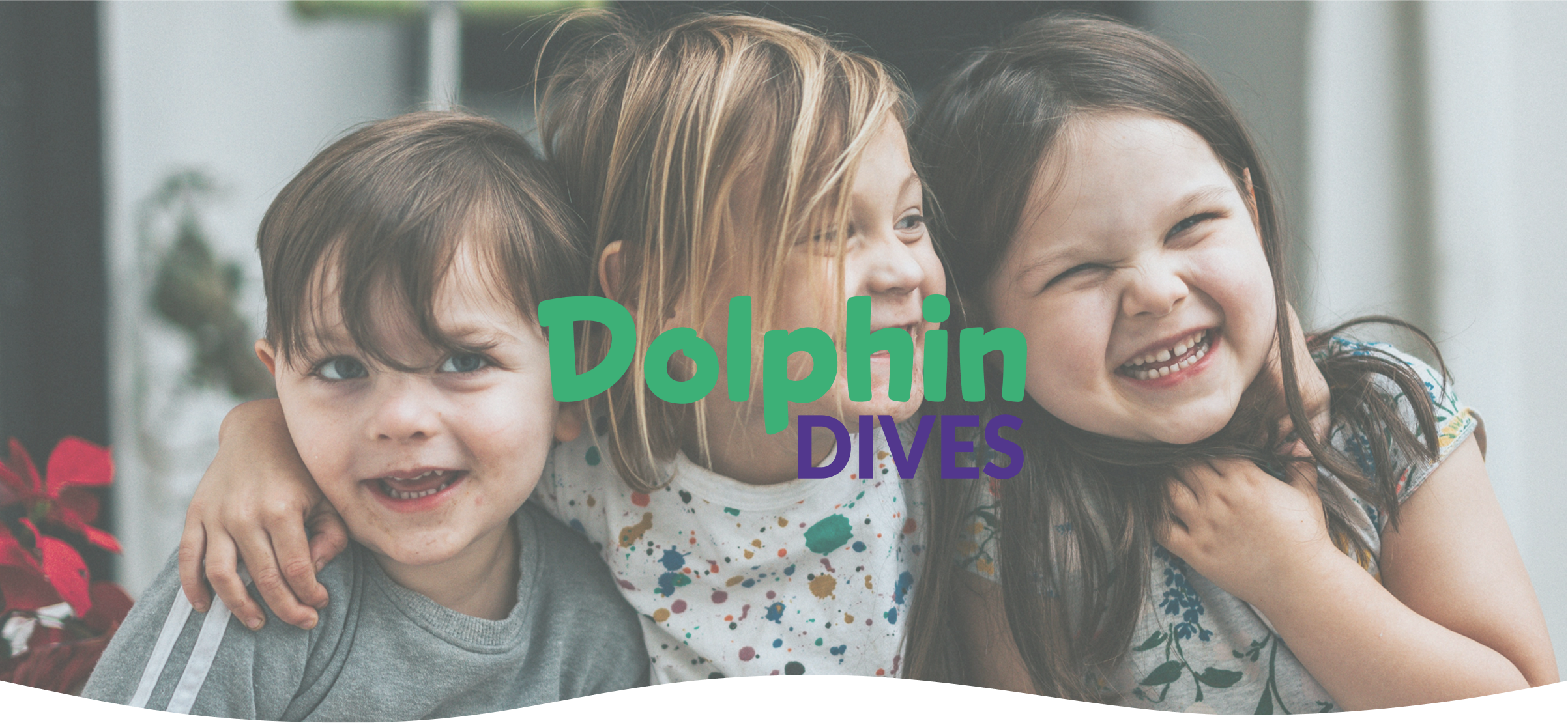 Dolphin Dive hero beeld